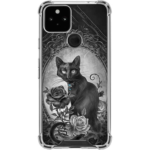 Alchemy Paracelsus - The Philosophers Familiar Google Pixel 5 Clear Case